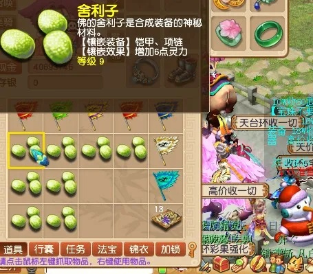 梦幻西游，舍利子的神秘力量与玩家的探索之旅